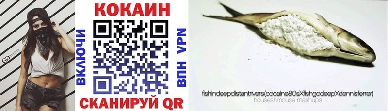 дарнет шоп Мариинск COCAIN FishScale