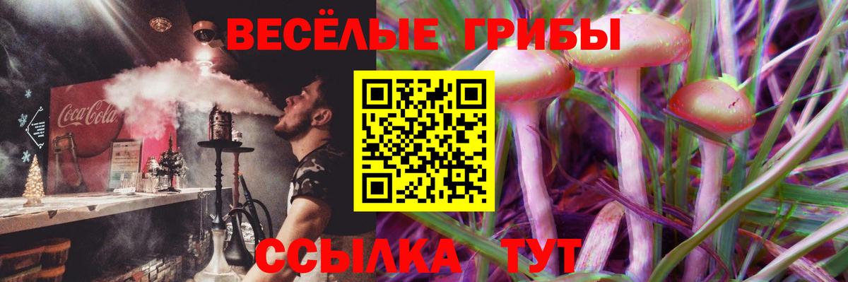 Псилоцибиновые грибы мицелий Мариинск